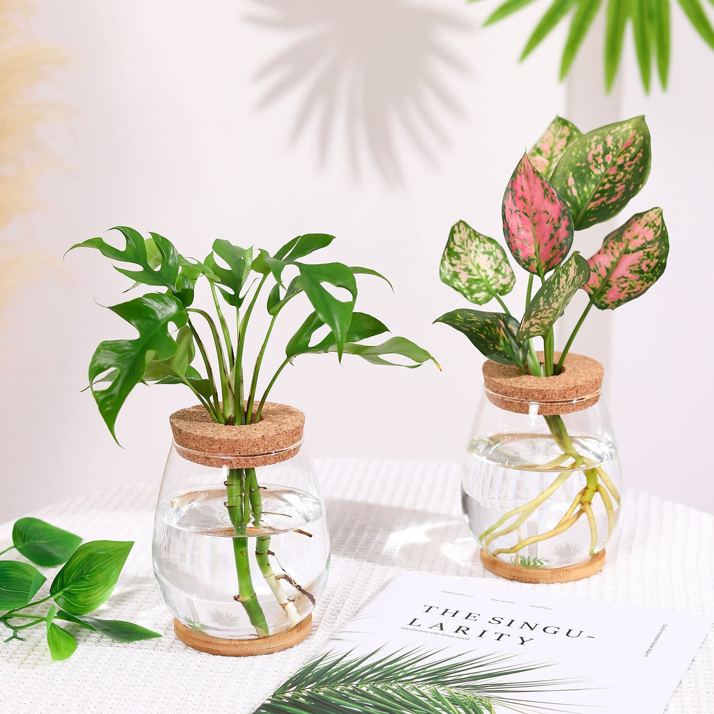 onepeng 2 Pcs Propagation Vases, Tabletop Plant Terrarium for Propagating Hydroponic, Glass Terrarium Vase Jars, Home Kitchen Decorations and Gifts for Plant Lovers