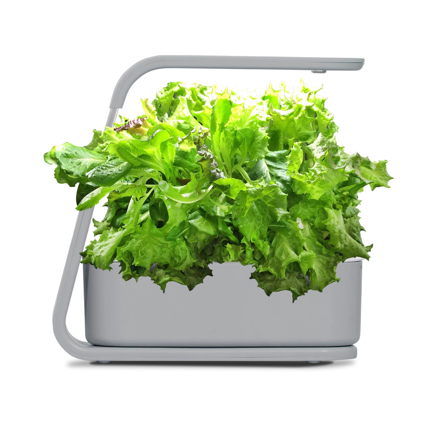 AeroGarden Sprout with Gourmet Herb Seed Pod Kit - Indoor Garden with LED Grow Light, Cool Gray