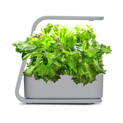 AeroGarden Sprout with Gourmet Herb Seed Pod Kit - Indoor Garden with LED Grow Light, Cool Gray