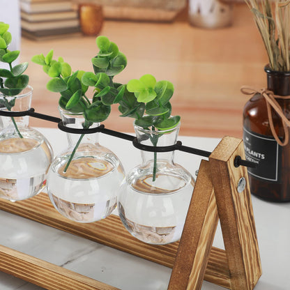 Modern Crystal Test Tube Vases with Wooden Stand Holder Set, Artistic Creative Hydroponics Vase Ornaments, Desktop Bulb Glass Vase, Plant Terrarium Stand for Home Office Garden Decor(U Shaped Rod)