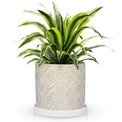 Ceramic Plant Pots with Drainage Hole & Saucer, White & Gold Ceramic Planter Pot for Indoor & Outdoor Use, 5.5" Small Plant Pots Decorative Flowerpots for Succulents, Herbs, Cactus, Orchids Planter
