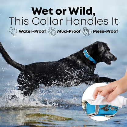 Regal Dog Products Medium Light Blue Dog Collar with Heavy Duty Double Buckle & D Ring | Vinyl Coated, Custom Fit, Adjustable Biothane Dog Collar Chew Resistant Waterproof Collar for Dogs