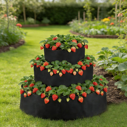BOUTICOL 3 Tiered Fabric Strawberry Planter 48 36 24 inch Strawberry Tower Planter Stackable Planters Strawberry Grow Kit