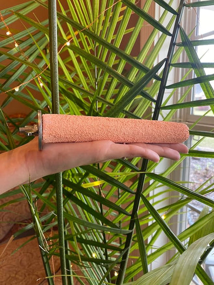 Polly's Pastels Nail Trimming & Beak Conditioning Safety Perch for Cockatiels, Cockatoos, Macaws, Parakeets, Budgies, Parrots and All Other Birds (Coral, Small-1" Dia. x 6" Long)