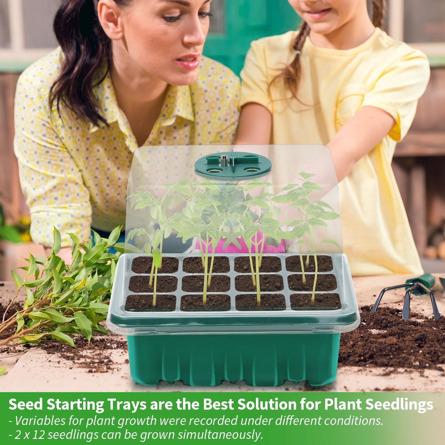 Qoolife Seed Starter Tray with Plant Light, 4 Pack Grow Lights for Seed Starting Kit with Humidity Domes, Timing Controller Adjustable Brightness for Greenhouse Propagator Station Planting Growing