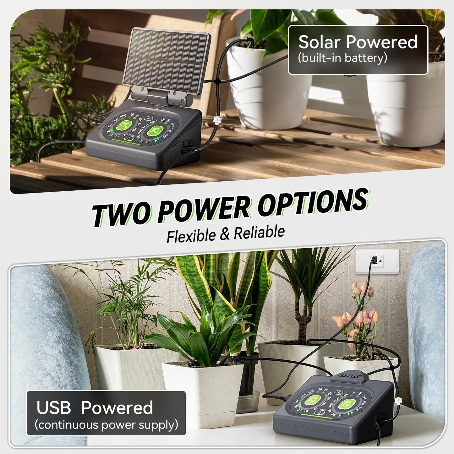 RAINPOINT Programmable Drip Irrigation System for Indoor Houseplant,Compact Dual-Powered Vacation Automatic Plant Waterer Self Watering Device While Away Low Water Auto Shut-Off (Water 10-15 Plants)