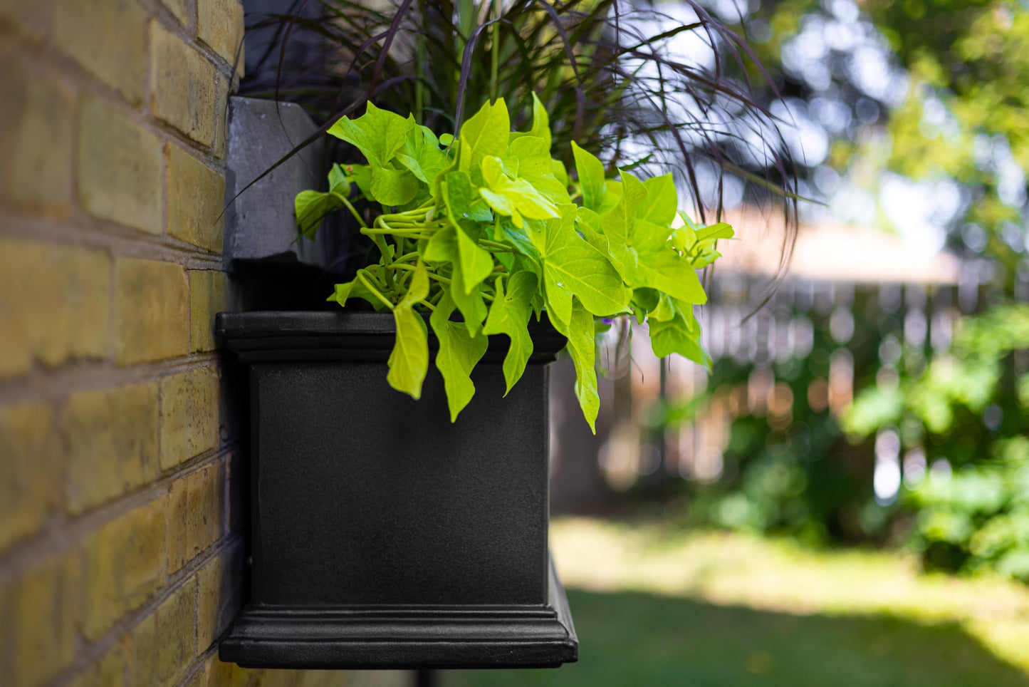 Mayne Fairfield 4ft Window Box, Self Watering Flower Box with Double Wall Design, All Season Fade Resistant Outdoor Window Planter With Steel Mounting Bracket, Black
