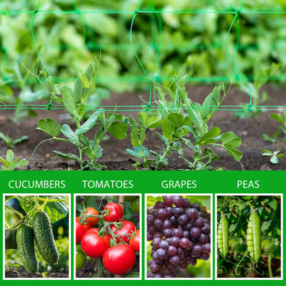 Toolazy Trellis Netting 59" x328' Green - Heavy Duty 6" Mesh Plant Support Net for Climbing Vegetables, Garden Trellis Roll for Tomato Cucumber Pea Bean Vine Grow Tent Scrog Hydroponic
