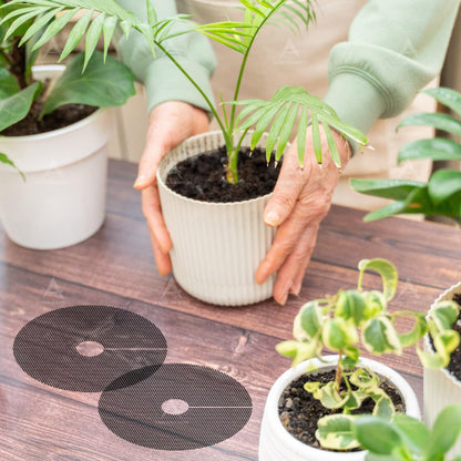 ANNASAMDO, 10 Pack Plant Pot Cover 1.8 Inch Plant Protectors from Animals Cuttable Round Pot Grid for Indoor Outdoor Plants