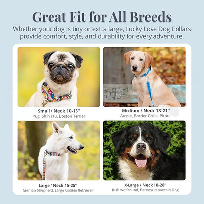 Lucky Love Dog Martingale Dog Collar & Leash - Adjustable, No-Slip, Durable, Comfortable, Soft Webbing, & Stylish Patterned Collar & Leash Set for Male and Female Dogs - Blackbird Combo, Large