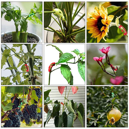 Odowalker 150 Pcs Low Stress Training Clips, 90 Degree Plant Clips Branches Clips Control The Growth of Plants Branches Clamps for Low Stress Planting Clip Climbing Plants Garden Plant Grow Tools