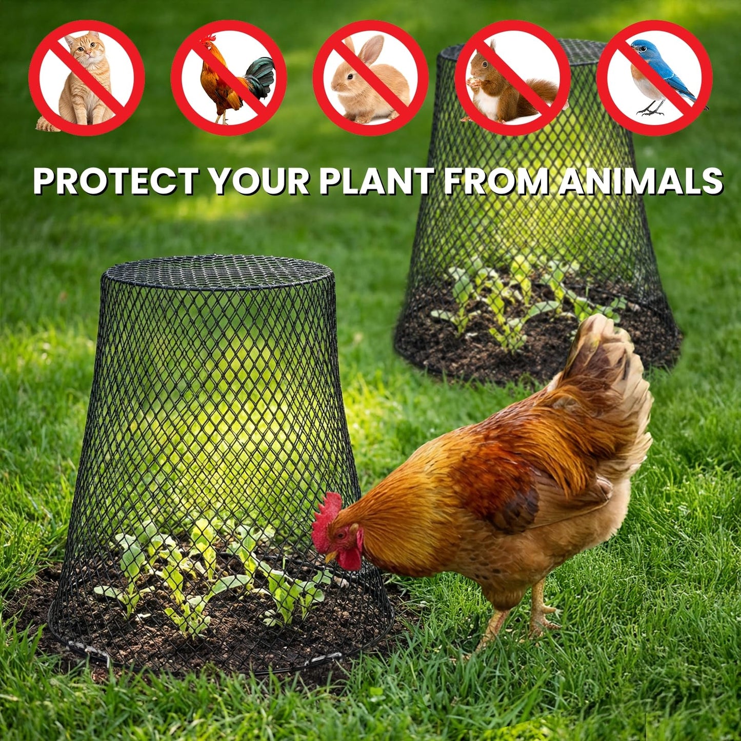 SOUJOY 15 Pcs 12 Inch Large Chicken Wire Cloche Plant Protector Cover, Heavy Duty Metal Garden Plant Protector from Animals, Plant Cages for Keeping Bunnies, Chickens, Squirrels, Birds Other Out