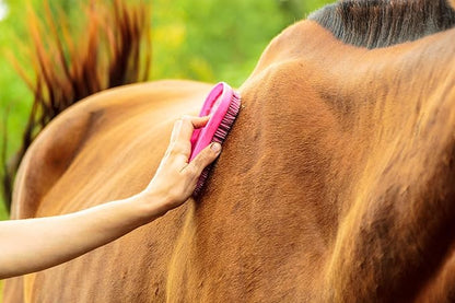 Intrepid International Magic Horse Brush, for Horse Grooming Kit w/Durable Plastic Bristles, Horse Brushes for Grooming, Removes Dirt, Sweat, Grime, Black