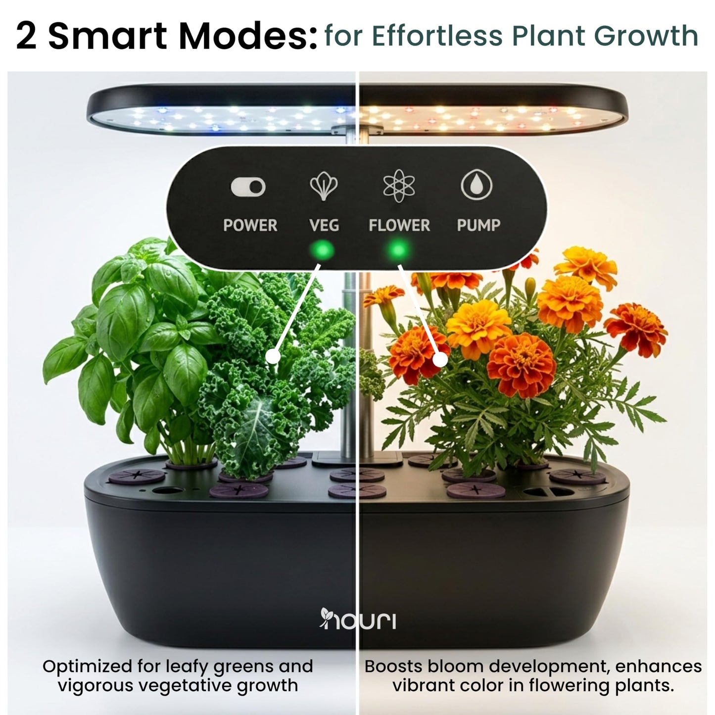 Nouri Hydroponics Growing System, 12 pod Smart Indoor Herb Garden Kit with LED Grow Lights, Hydroponic Herb Garden Indoor for Plant Lovers, Gardeners, Kitchen, Basil Seeds Included