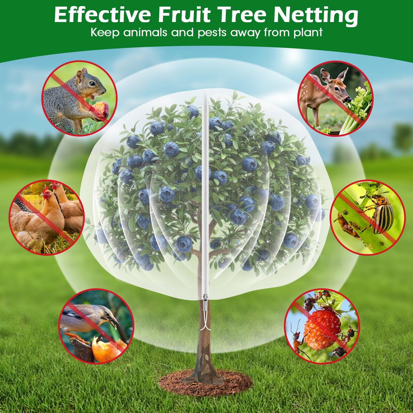 6'x6' Fruit Tree Netting Cover with Zipper and Drawstring, Ultra-Fine Mesh Garden Plant Insect Pest Net Barrier Protection Covers to Prevent Squirrel Bird Deer Cicadas Bag for Blueberry Tomato-1Pcs