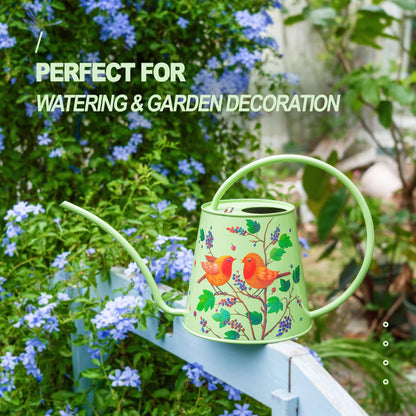 Berry&Bird House Plants Watering Can - Indoor & Outdoor 1/2 Gallon Stainless Steel Water Can with Long Spout Garden Decoration for Flower Bonsai Succulent Gardening Large Watwer Bottle(2L/Robin)