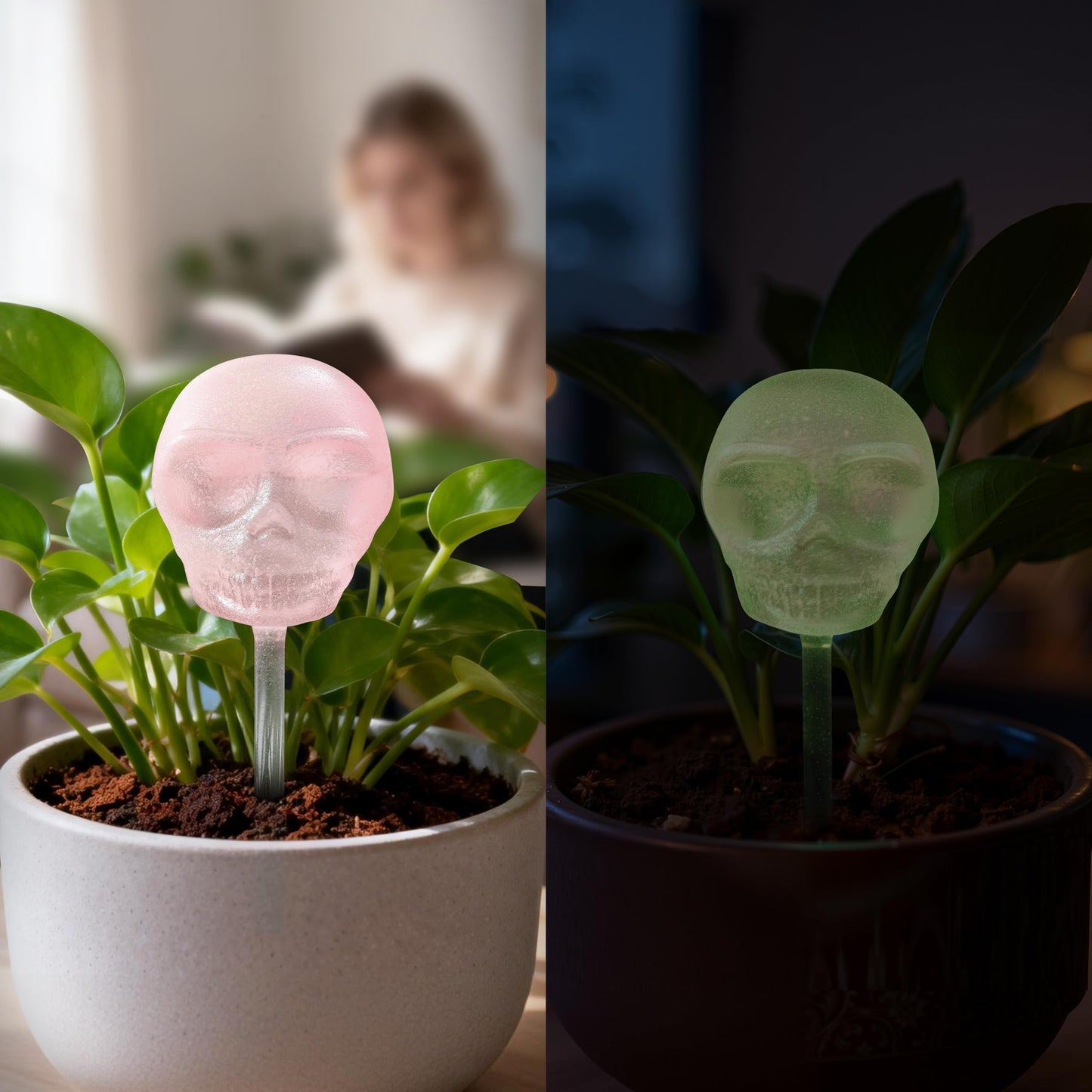 Soilagua 10 oz Glow-in-The-Dark Smiling Cute Skull Glass Plant Watering Globes, Halloween Goth Water Bulbs, Gothic Plant Self Watering Devices, Self Watering Planter Insert Plant Waterer, 2 Pack