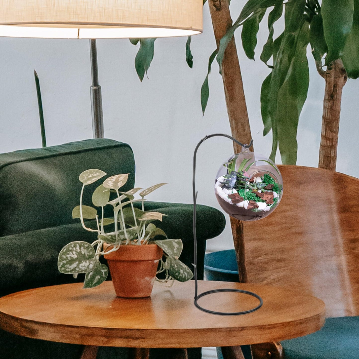 Sosoport Plant Hook Air Plant Holder Hanging Air Plant Stand Desktop Terrarium Hook Tabletop Terrarium Stand Bauble Terrarium Hanger Metal Terrarium Stand Glass Terrarium Holder Witch Stand