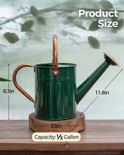 Bamworld Watering Can for Indoor Outdoor Plant Metal Watering Can with Removable Spout Embossd Design Plant Watering Devices Stainless Steel 1/2 Gallon Watering Cans Home & Garden Décor Deep Green