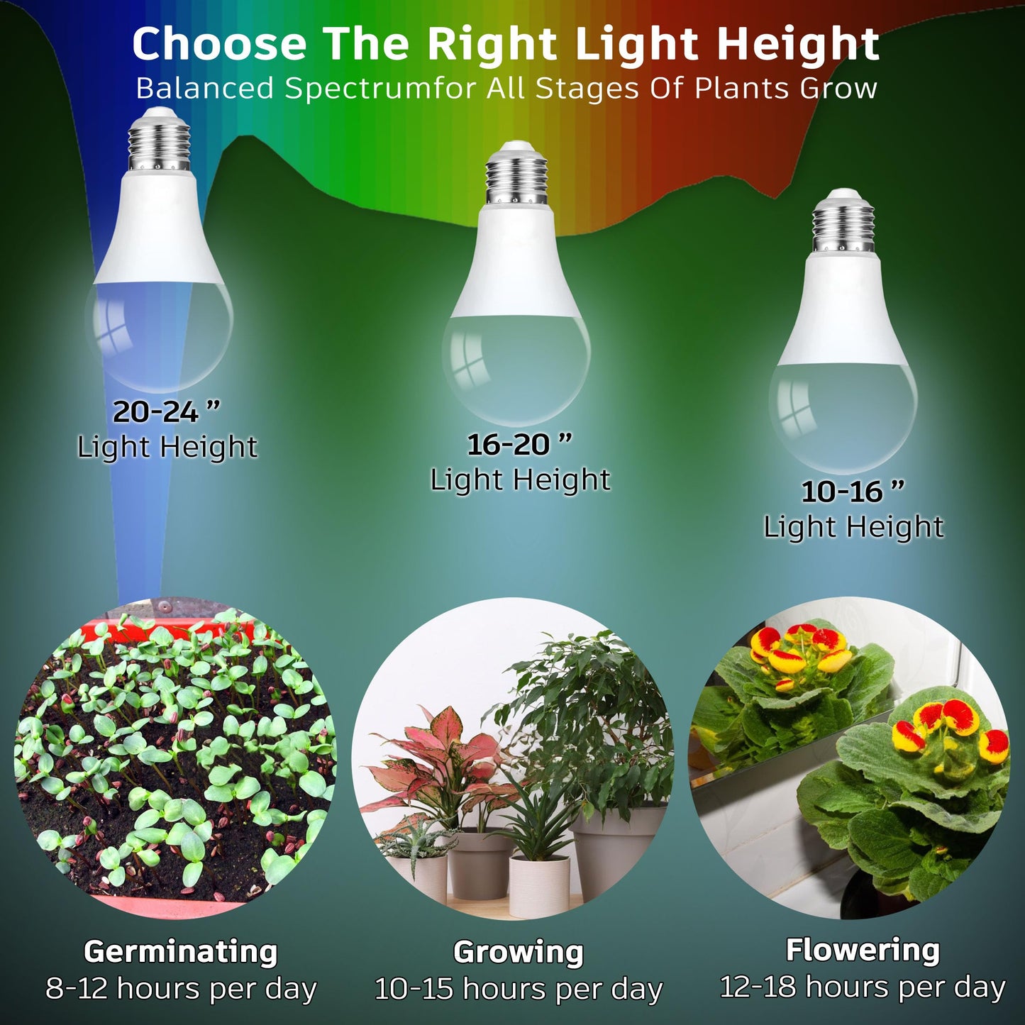 E26 A19 LED Plant Grow Light Bulbs Indoor Plants Full Spectrum,LED Sun Light Bulbs Plant Growing 100W Equivalent with Balanced Spectrum 5000K Red Blue Yellow for Seeds Greens Flower Fruit Garden,6Pack