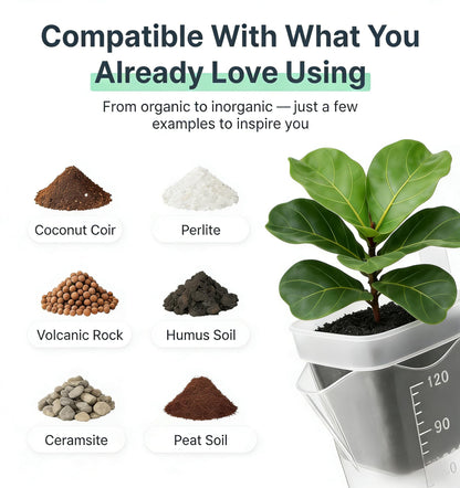 NUSQO Self Watering Pots for Indoor Plants, 12 Pack 2 Inch Mini Clear Plastic Planters with Water Level Indicator, Drainage Holes and Plant Labels for African Violet and Alocasia Corm Propagation