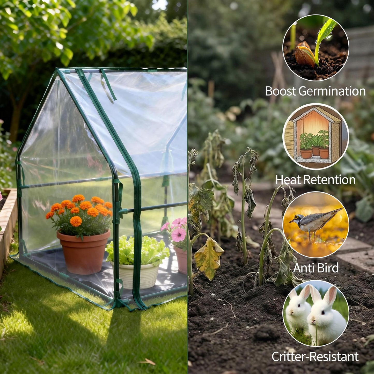 PROWORX Mini Greenhouse 36"x36"x42" Plant Cover Tent Seed Starting Waterproof Floor Mat Small Plant Tent for Use on Patio Balcony Porch & Indoors/Outdoors