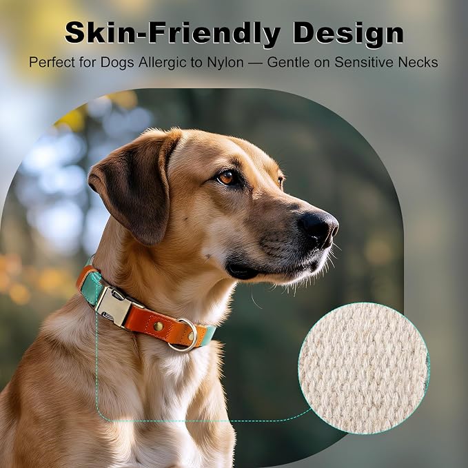 Plutus Pet Genuine Leather & Hemp Dog Collar – Adjustable Heavy Duty Pet Collar with Quick Release Metal Buckle, Soft & Stylish for Puppy and Small, Medium, Large Dogs (Green, M)
