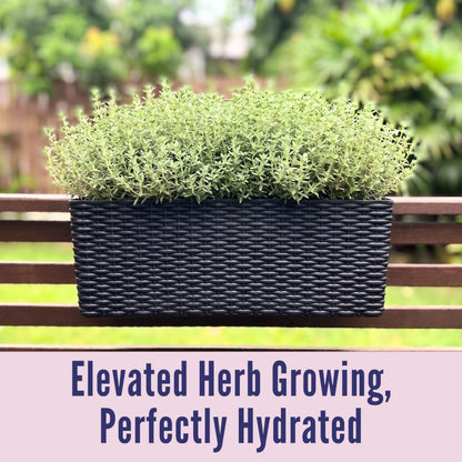 LaLaGreen Outdoor Rail Planter for Balcony (20 Inch, 2 Pack) Large Black Self Watering Deck Railings Planters with Brackets, Rectangular Plastic Fence Flower Box Designer Choice with Rattan Pattern