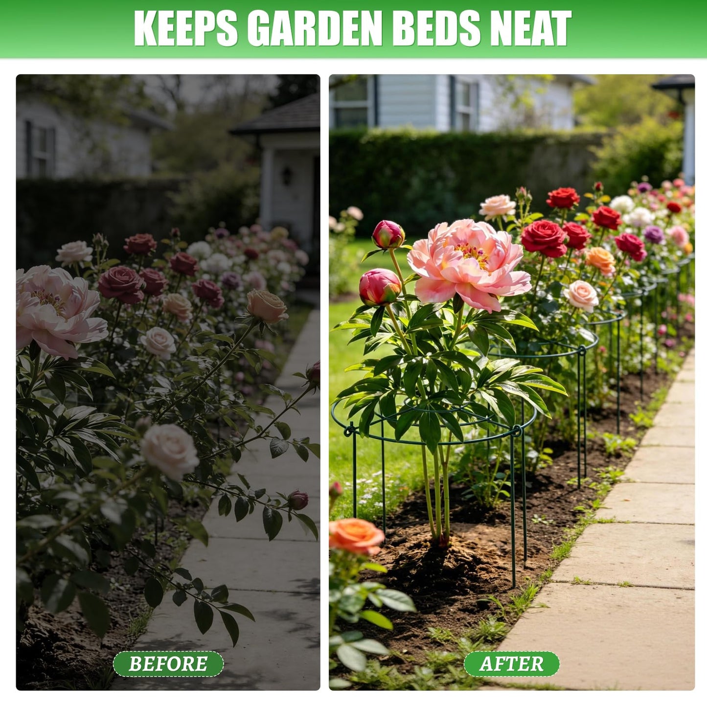 Peony Cages and Supports 8 Pack, 11.5 x 20 Inch Heavy Duty Plant Support Cage Set for Peonies, Roses & Tomatoes – Garden Stakes & Plant Cages for Outdoor Plants (8 Pack, 11.5 x 20 Inch)