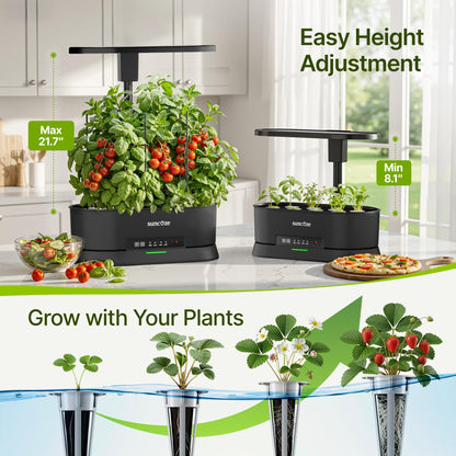 SUNCOZE Hydroponics Growing System Kit with Split Tank, Dimmable 36W Full Spectrum LED Grow Light, 12 Pods Indoor Herb Garden with Timer & Clock Smart Pane, 21.65 Inch Height Adjustable Herb Garden