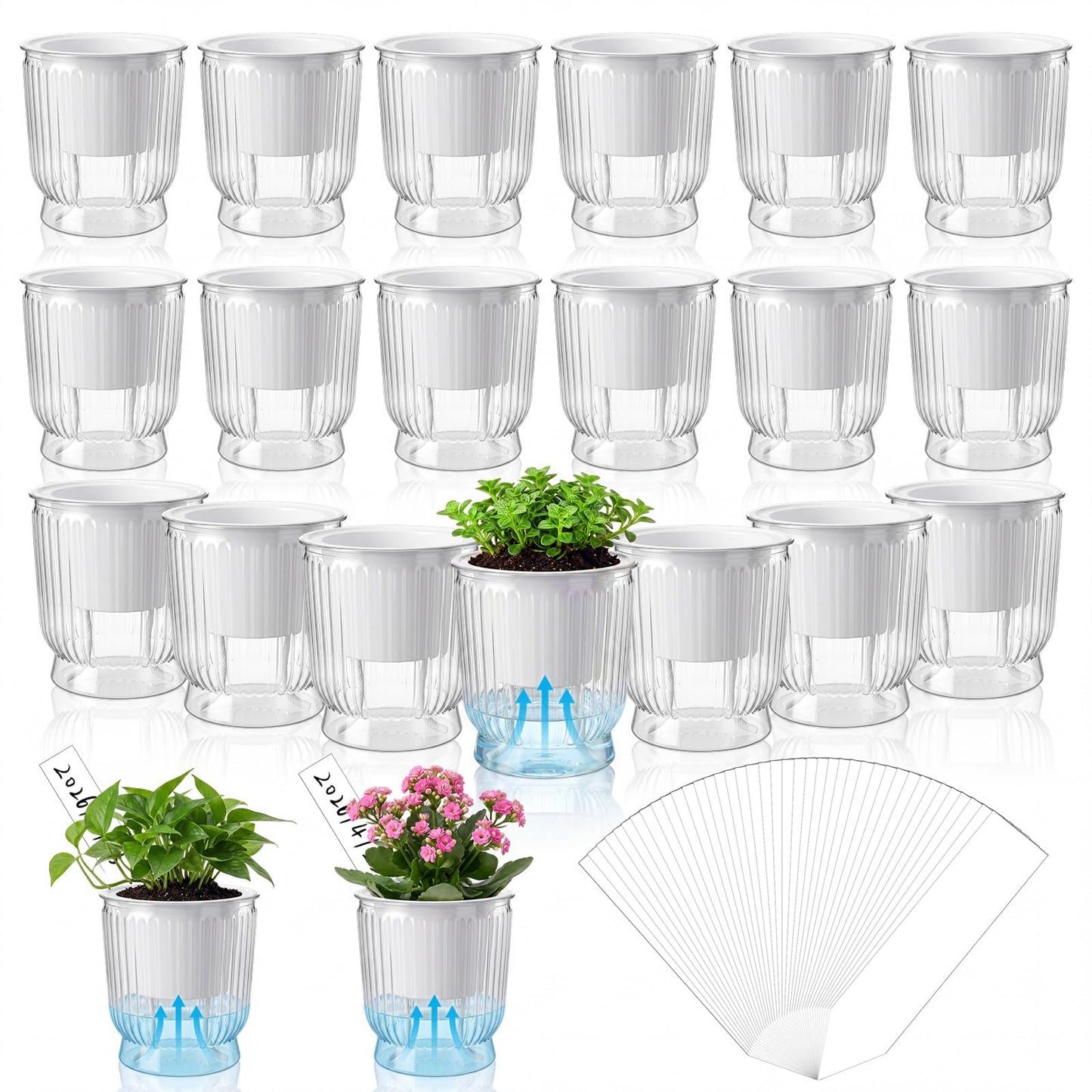 Ferrochef 20 Sets 4 Inch Self Watering Pots Bulk Small Plant Pots with Inner Reservoir, Clear Self Watering Wick Planter Plastic Plant Labels for Indoor Succulents Herbs Flowers Pothos