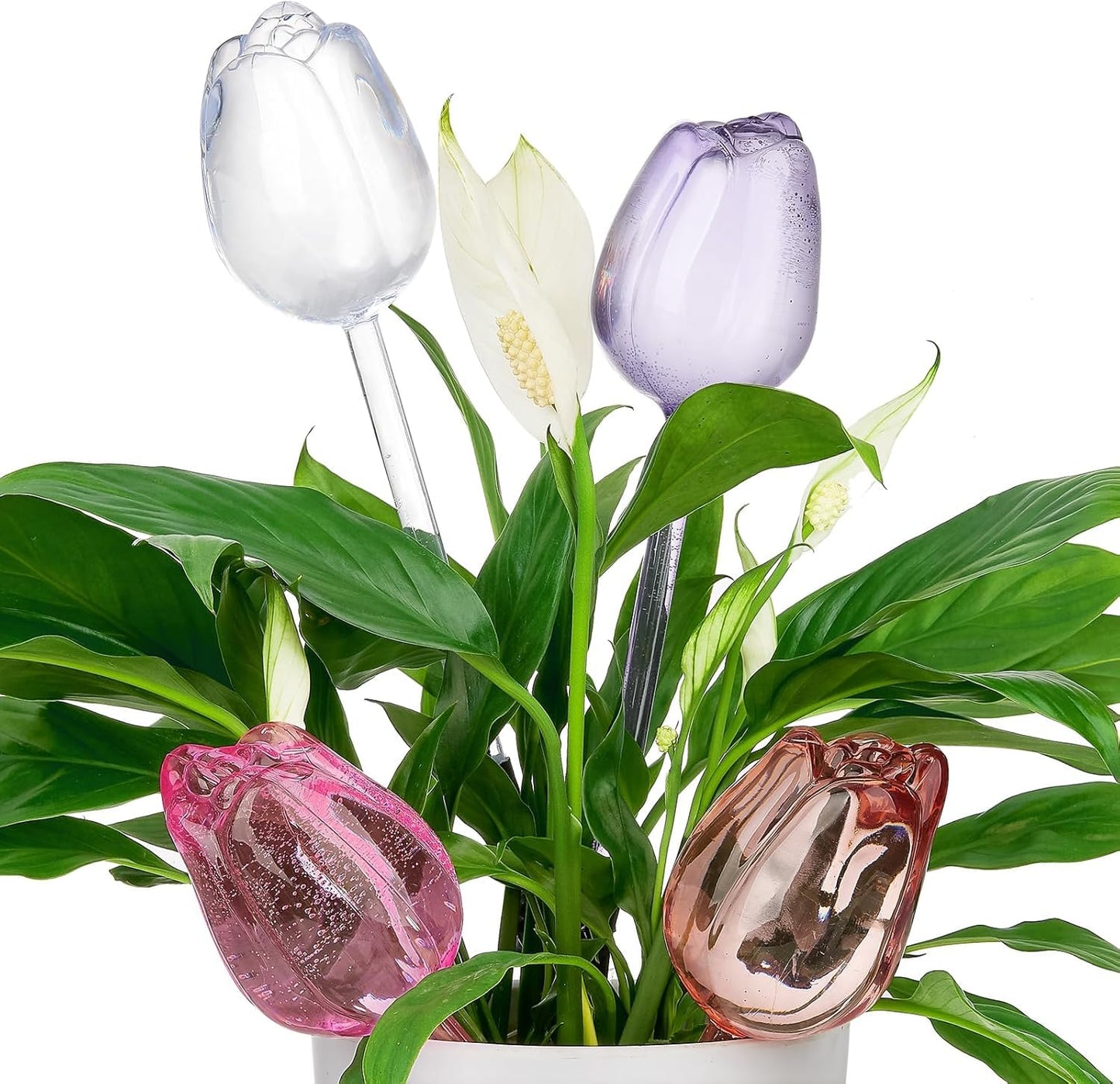 Adoric Plant Self-Watering Stakes 4 Tulips, Self Watering Planter Insert,Plant Watering Devices,Watering Bulbs for Indoor Automatic Plant Waterer Indoor (Small-4 Tulips)