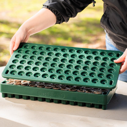 Vego garden Seedling Suite Products 10" x 20" 76 Cells Stackable Seed Starter Germination Tray with 3-in-1 Plant & Pop Board and 10" x 20" Bottom Watering Tray