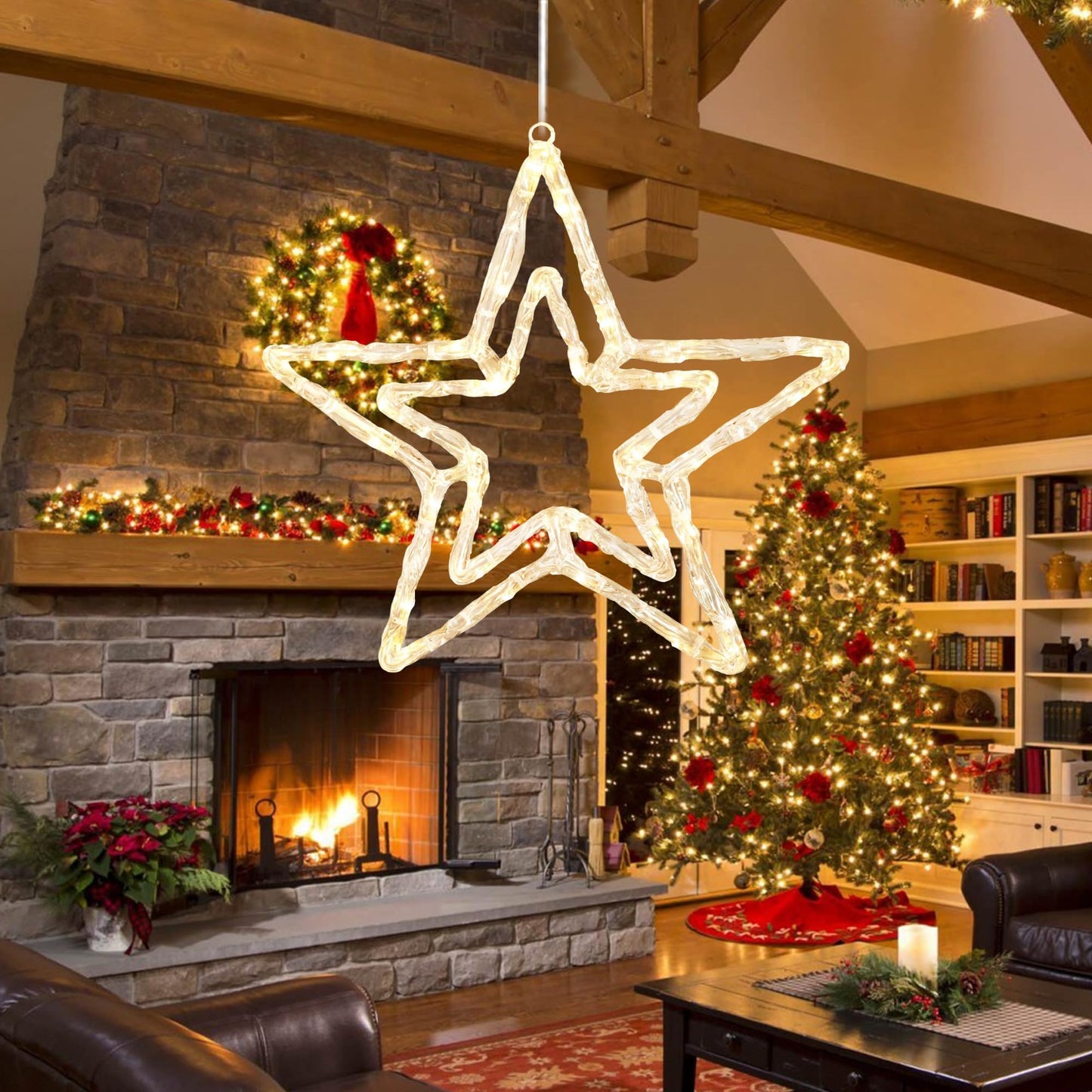 JOINTWIN Acrylic Christmas Star Light 13'' Window Light with 30 Warm White LEDs Battery Powered Timer Festive Christmas Decoration Waterproof for Indoor and Outdoor