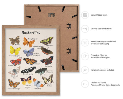 Poster Master Butterfly Print - Animal Poster - Learning Materials Art - Educational Wall Design - Gift for Students & Teacher - Decor for Classroom, Library or Nursery - 11x14 Beige Framed