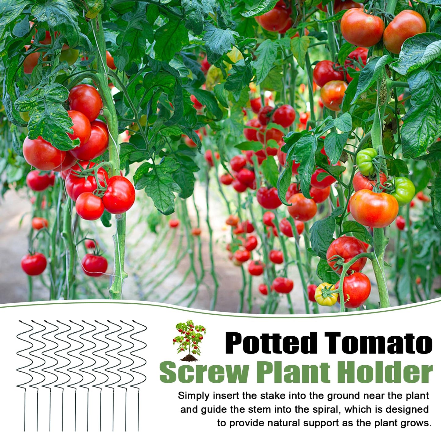 Wshxjzyay 10 Pack Tomato Twist Stake, Spiral Tomato Stakes for Indoor Outdoor, Spiral Garden Stakes for Climbing Plants, Tomatoes, Roses & Garden Vines