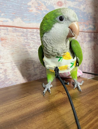 Bird Flight Harness Vest, Parrot Suit with Leash for Cockatiels Conures Budgies, Flying Clothes Rope and Handle Outdoor Activities Training