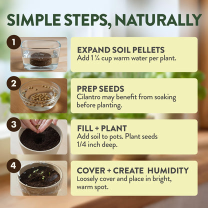 HOME GROWN Indoor Organic Herb Garden Kit, Unique Valentines Day Gift for Adults, Men, & Women,Grow 4 Herb Seeds for Kitchen Window Garden,Beginner DIY Hobby Gardening for Plant Lovers, Mom & Dad
