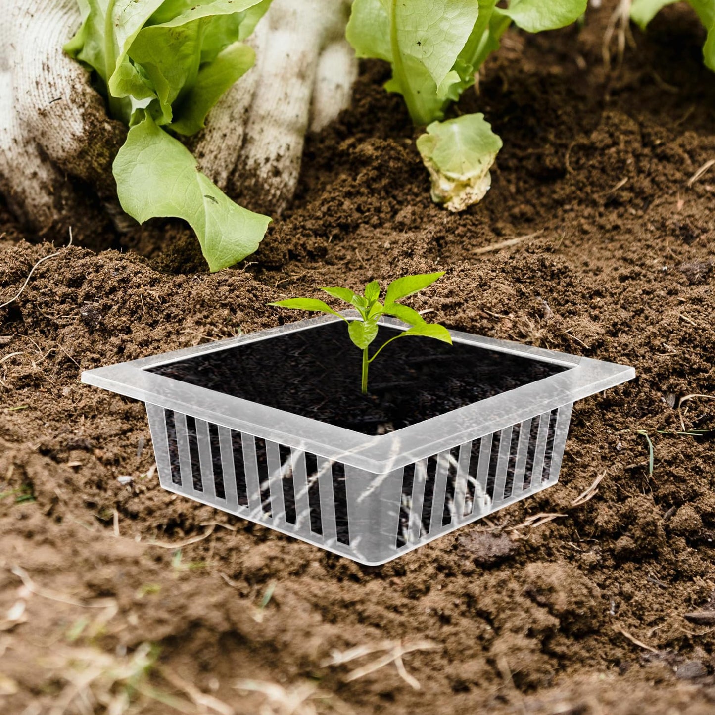 Happyyami 10 Pcs Square Hydroponic Net Pots with Drainage Holes 6.10X6.10X1.88 Inch Mesh Planting Baskets for Vegetables Flowers Home Gardening