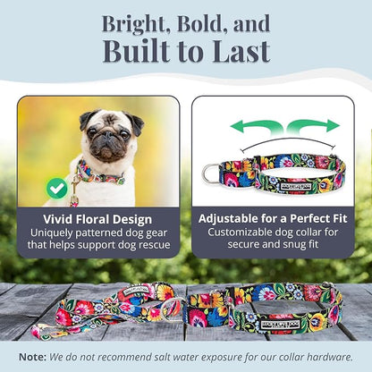 Lucky Love Dog Martingale Dog Collar & Leash - Adjustable, No-Slip, Durable, Comfortable, Soft Webbing, & Stylish Patterned Collar & Leash Set for Male and Female Dogs - Blackbird Combo, Large