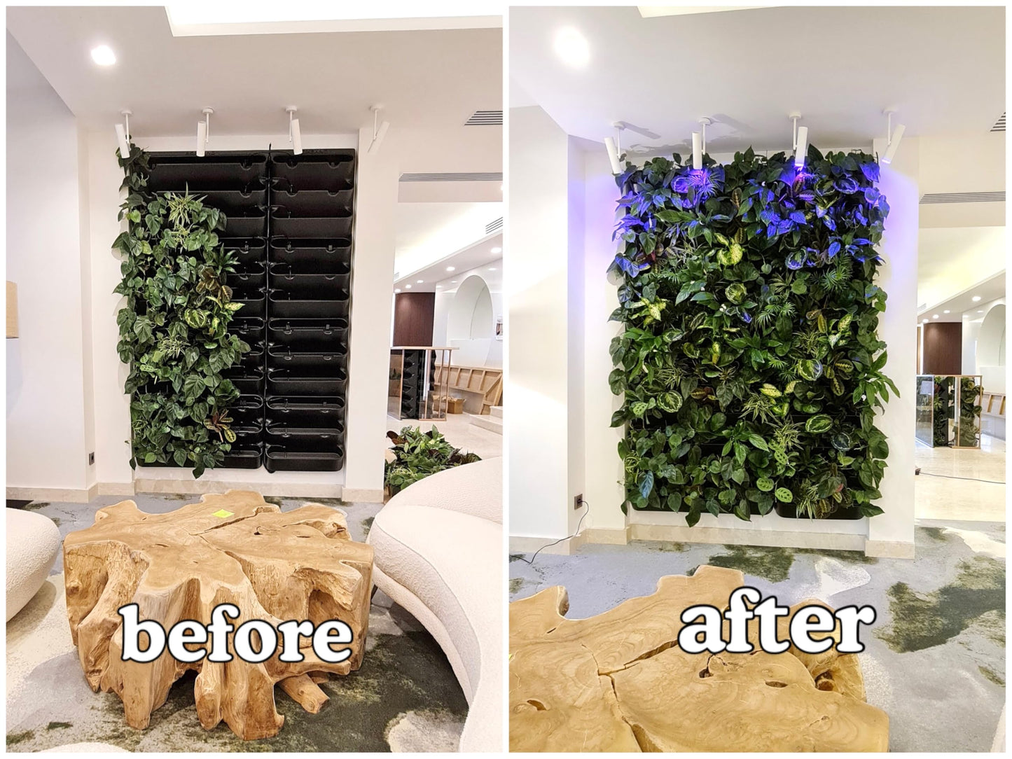BOXSAND-12 Vertical Wall Planter (24"x26", Black with Square Pots) – Living Wall for 12 Plants, Indoor/Outdoor Vertical Garden System, Easy 2-Screw Install