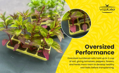 Vizible 16-Cell Seed Starting Tray Caddy | Reuseable Clear Cell Design | Perfect for Vegetables Including Tomatoes and Peppers, Flowers and Herbs (Cosmos Yellow)