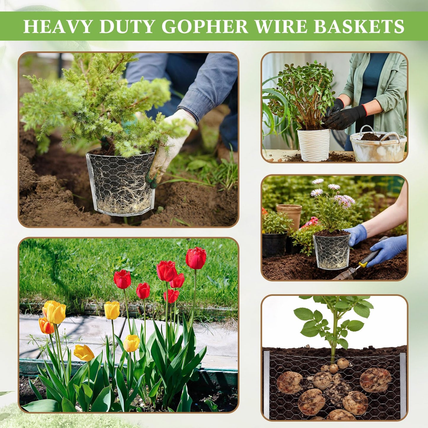 Yaocom 12 Pcs 1 Gallon Heavy Duty Gopher Wire Baskets Stainless Steel Hexagonal Galvanized Mesh Cages Gopher and Vole Wire Basket for Shrubs Vines Bushes Plant Root Protection