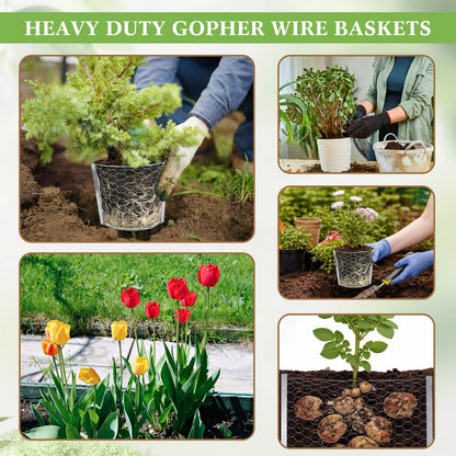 Yaocom 12 Pcs 3 Gallon Heavy Duty Gopher Wire Baskets Hexagonal Galvanized Mesh for Shrubs Vines Bushes Plant Root Protection