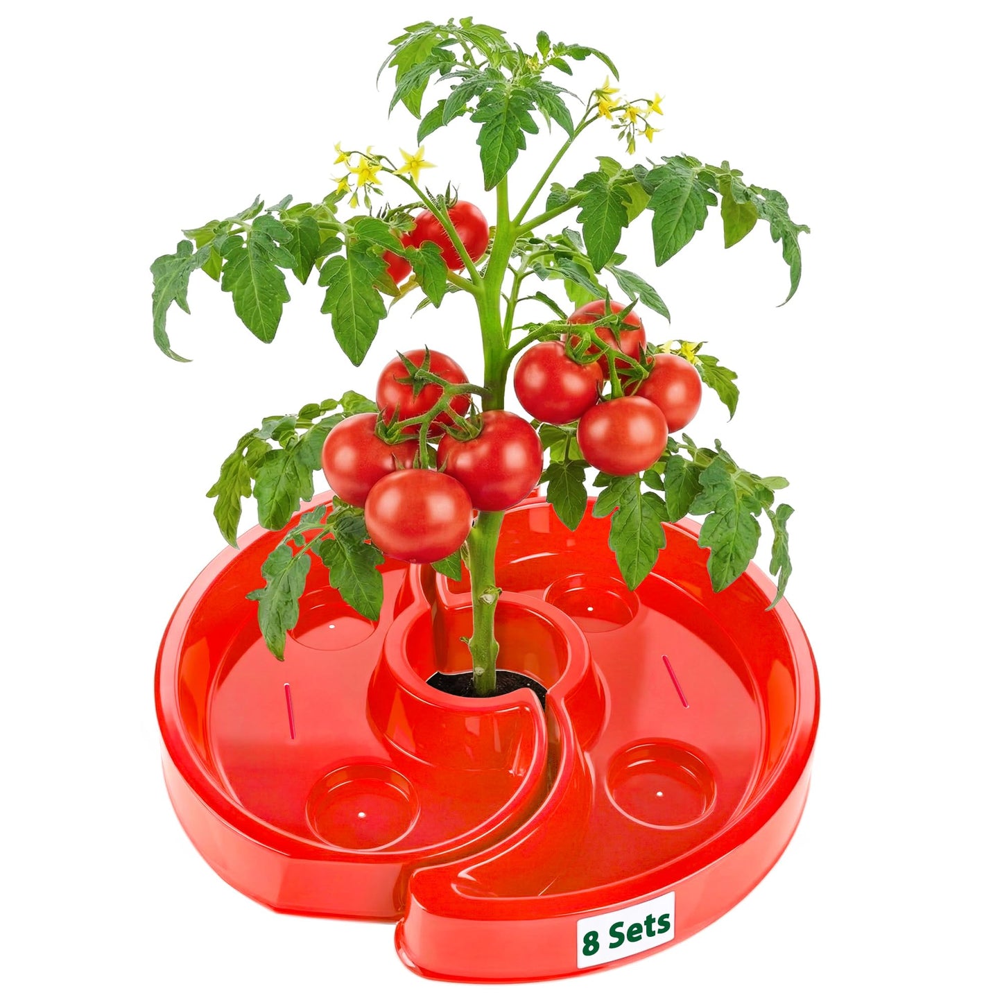 HolyMaji 8 Sets Tomato Watering Ring, Aqua-Direct Red Tomato Halo for Vegetable Direct Root Irrigation, Cuts Runoff, Promotes Vigorous Plant Growth | Rapid-Stake Mount