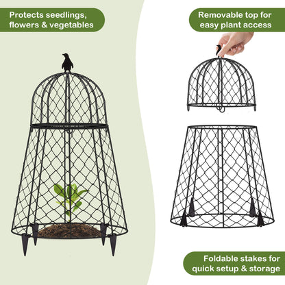 TAOMENNI Garden Cloches for Plants, Chicken Wire Cloche, Plant Cloche and Cages, Wire Plant Protectors from Animals, Protection for Your Plants and Seedlings, Heavy-Duty, 13" D x 20" H, Pack of 6