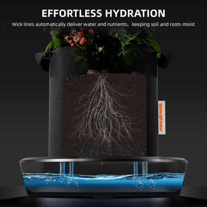 Spider Farmer Gravity-Fed Self-Watering System, 4-Pack Auto Watering System with 13 Gallon Reservoir, 4 Fabric Pot Base for Indoor Plants, Grow Tents, Greenhouses