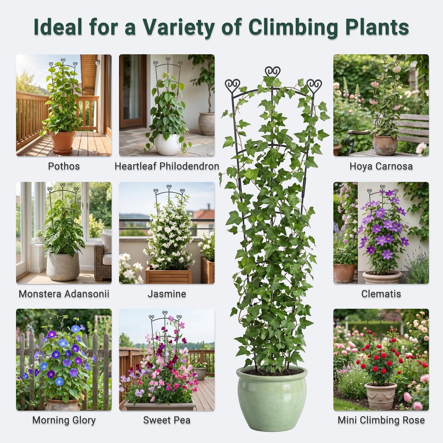 46.6" Tall Plant Trellis for Climbing Plants Indoor Outdoor, Durable Metal Trellis for Potted Plants, Adjustable Climbing Plant Support for Vines, Clematis, Morning Glories, Ivy, Black, 2 Pack