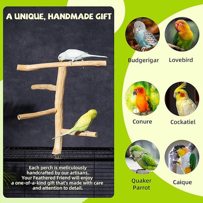 Natural Wood Bird Perch for Top of Cage, Cage Top Perch Play Stand for Parakeets, Cockatiels, Lovebirds and Small Conures, Multi-Level Training Branch for Small Medium Birds