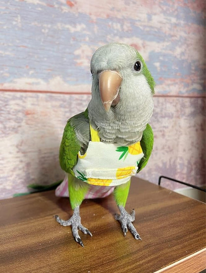 Bird Flight Harness Vest, Parrot Suit with Leash for Cockatiels Conures Budgies, Flying Clothes Rope and Handle Outdoor Activities Training